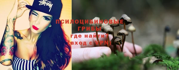 бошки Арсеньев
