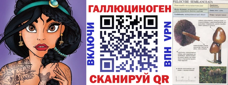 наркотики  Ладушкин  Псилоцибиновые грибы Psilocybine cubensis 